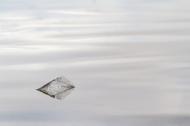 Moving on from grief and loss…. “Shouldn’t I be feeling better by now?”